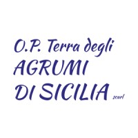 O.P. Terra degli Agrumi di Sicilia scarl logo - Similar company to Bonechi Frutta