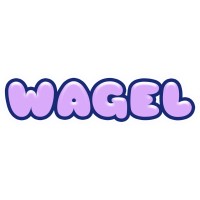 WagelBox.com logo - Similar company to La Tech Dmv - Washington Dc