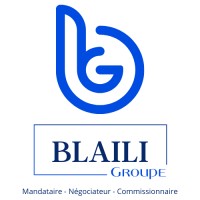 Blaili Groupe logo - Similar company to Brarsoft Inc.