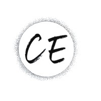 CONSULTING EXPERTS logo - Similar company to Management Consulting