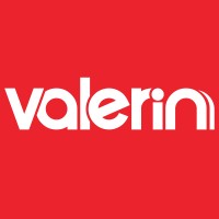 The Valerin Group, Inc. logo - Similar company to Infinite Shapes