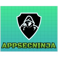 AppSecNinja logo - Similar company to Astechnix