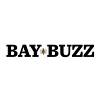 BayBuzz logo - Similar company to Dish