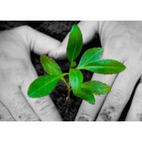 HANDS FOR LIVING logo - Similar company to Northlight Custom Builders