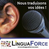 LinguaForce logo - Similar company to Tdsp Translators