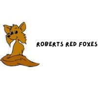 ROBERTS ELEMENTARY SCHOOL logo - Similar company to Elizabeth Cobb Middle School