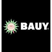 BAUY logo - Similar company to Flare Content