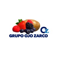 GRUPO OJO ZARCO logo - Similar company to Fintrust Spa