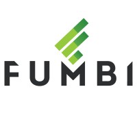 Fumbi logo - Similar company to Dltpay