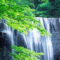 Peaceful Way Psychology logo - Similar company to Mindful Choices Training Ltd