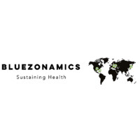 Bluezonamics logo - Similar company to Anzu