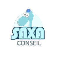 Saxa Conseil logo - Similar company to Izikare