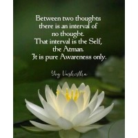 Akela Mann logo - Similar company to Kazari Collection