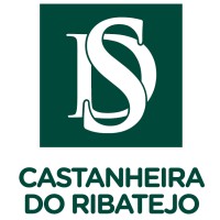 Decisões e Soluções - Castanheira do Ribatejo logo - Similar company to Naturalenergy.Pt