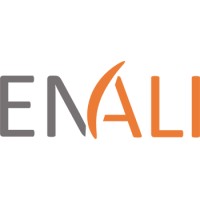 ENALI logo - Similar company to Dreamers Team