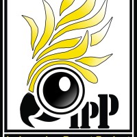 Indonesian Parrot Project logo - Similar company to The Food You Choose