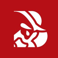Bull Solutions Consulting logo - Similar company to Smartceo