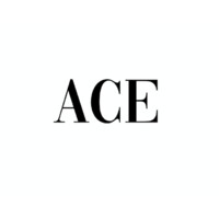 The Ace Agency, LLC logo - Similar company to Anaheim Packing District