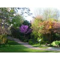 Culpeper Community Garden logo - Similar company to Head Held High Ltd