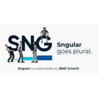 Singular People logo - Similar company to Singular_Id