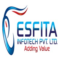 ESFITA Infotech Pvt. Ltd. logo - Similar company to Ritzy Technewell Solutions