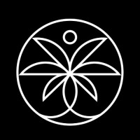 Digital Escapes logo - Similar company to Witty Escapes