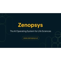 Zenopsys logo - Similar company to Infruid Labs
