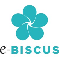 e-BISCUS - Présence en ligne logo - Similar company to Makroxl Software : Prestataire Vba, Macro Excel