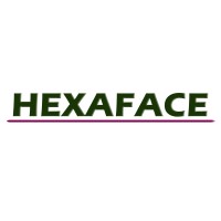 HEXAFACE logo - Similar company to Raaj Kumar Texcot