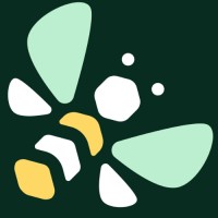 Buzz ABA logo - Similar company to Airborne Aba
