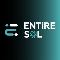Entire Solutions logo - Similar company to Netsolution
