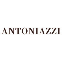 Antoniazzi logo - Similar company to Information Consulting Srl