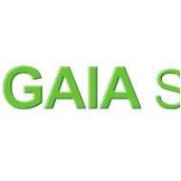 GAIA Stategy logo - Similar company to Symbolics