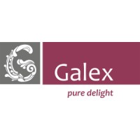 Galex bikes logo - Similar company to Econic One