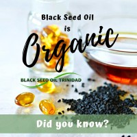 Black Seed Oil Trinidad Limited logo - Similar company to Blackseed