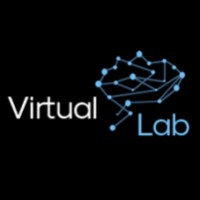Virtual Lab logo - Similar company to Efficious