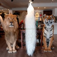 de museumwinkel.com