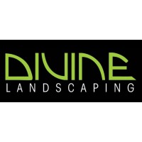 Divine Landscaping Services logo - Similar company to C & C Loader Service, Inc.