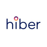 hiber logo - Similar company to Vendigo
