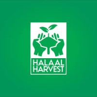 Halaal Harvest logo - Similar company to Icifa