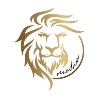 Lion Media logo - Similar company to Bing Pros