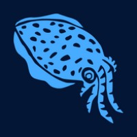 Cuttlefish Data logo - Similar company to The Data Trainers