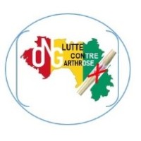 INSTITUT DE KINESITHERAPIE DE L'ONG LUTTE CONTRE  ARTHROSE EN GUINEE logo - Similar company to Africa Mining Group Sas
