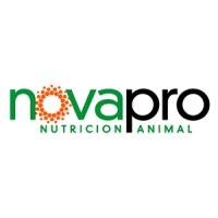 Novapro Chile logo - Similar company to Formatto