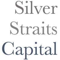 Silver Straits Capital logo - Similar company to Right Factor Consulting