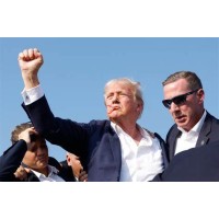 Trump Shooter logo - Similar company to Trumpit - Your Trump In It Solutions