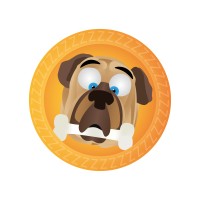 Zerpaay Labs logo - Similar company to One Frame