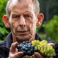 Wijnhoeve Kunneman logo - Similar company to Wtol Academy®