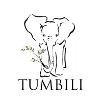 TUMBILI VOYAGES ET SAFARIS logo - Similar company to Lyontasting