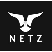 Netz Capital logo - Similar company to Tech Dome Corp